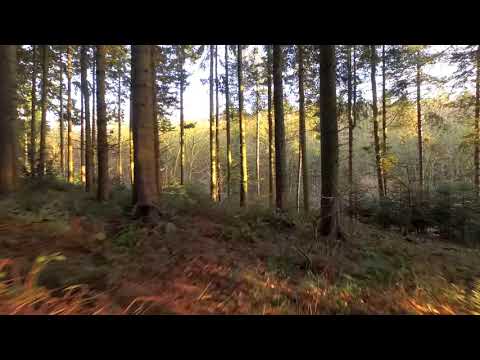 A Jesus Cristo contarei tudo - Raquel - Tabernáculo do Senhor - Ubiratã - PR