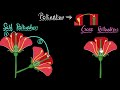 Pollination Self Cross How Do Organisms Reproduce Biology Khan Academy