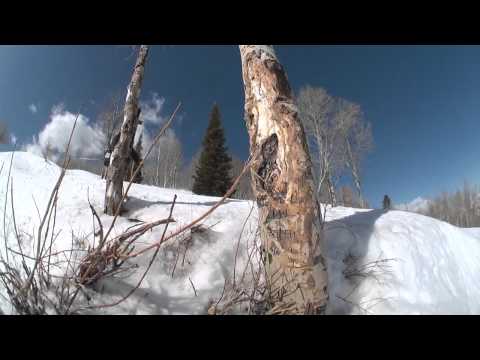Line Skis Shadow 2012