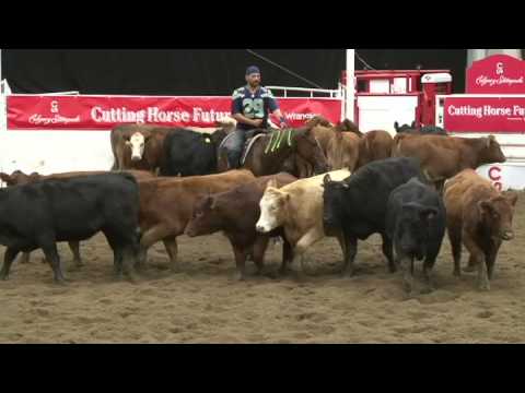 Bridleless Cutting - PEPTO RICO & Josh Sleeman