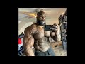 Pumping Chest - Kali Muscle