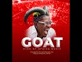 Deejay Raph Shatta Wale Mix Vol 1 Best Mix Of The King Of Africa Dancehall Best Of Shatta Wale