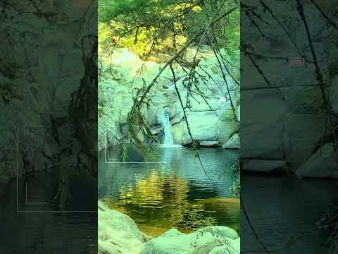 LA OLLA "La Cumbrecita"