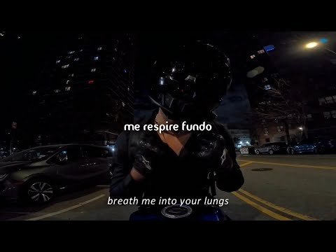 kat leon x nocturn // can't get enough [tradução/lyrics]