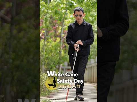 White Cane Safety Day: Reimagining daily life beyond sight