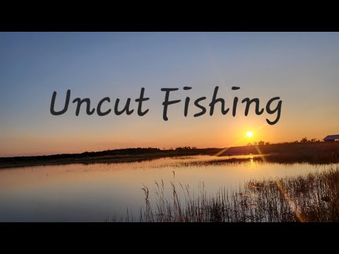 Uncut Fishing
