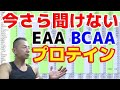 EAA・BCAA・プロテイン徹底解説~今さら聞けない基本サプリメントを知れ!~