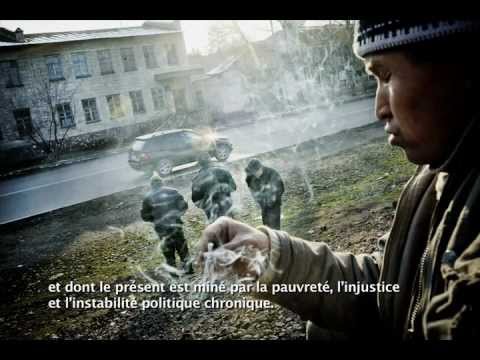 download lagu mp3 mp4 Faded Tulips, download lagu Faded Tulips gratis, unduh video klip Faded Tulips