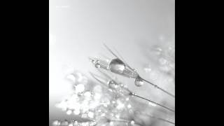 Edit Select - Downside