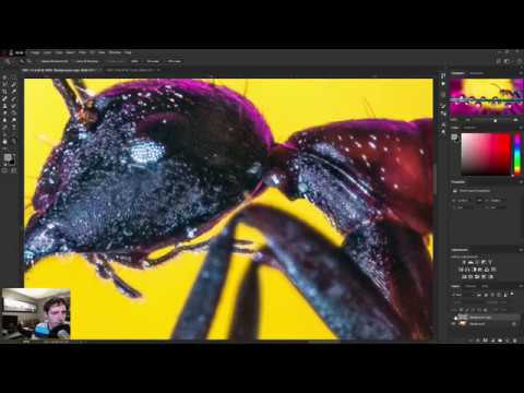 download lagu mp3 mp4 Photo Weekly, download lagu Photo Weekly gratis, unduh video klip Photo Weekly