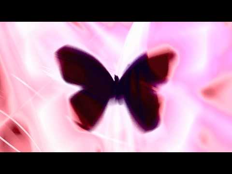Bassnectar - Butterfly (feat. Mimi Page)