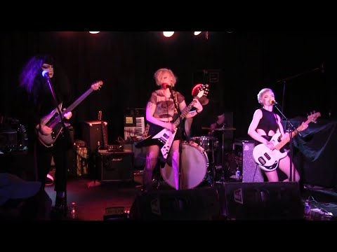 Itchy Kitty - February 2, 2022