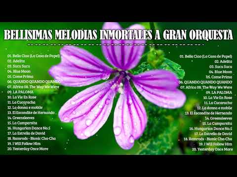 BELLISIMAS MELODIAS INMORTALES A GRAN ORQUESTA - ORQUESTACIONES MAGISTRALES PARA EXITOS DEL RECUERDO