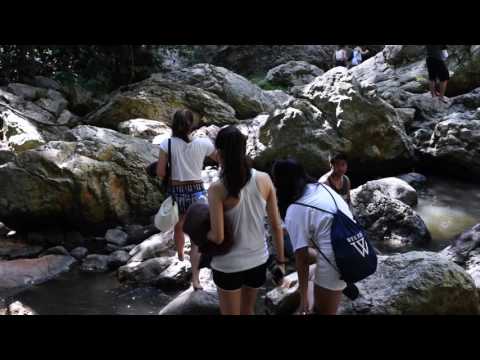 Koh samui and Tao 2015