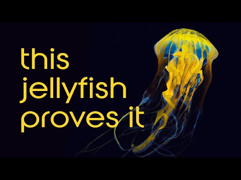 "Noah's Flood is NOT a Myth!" Geologists Confirm