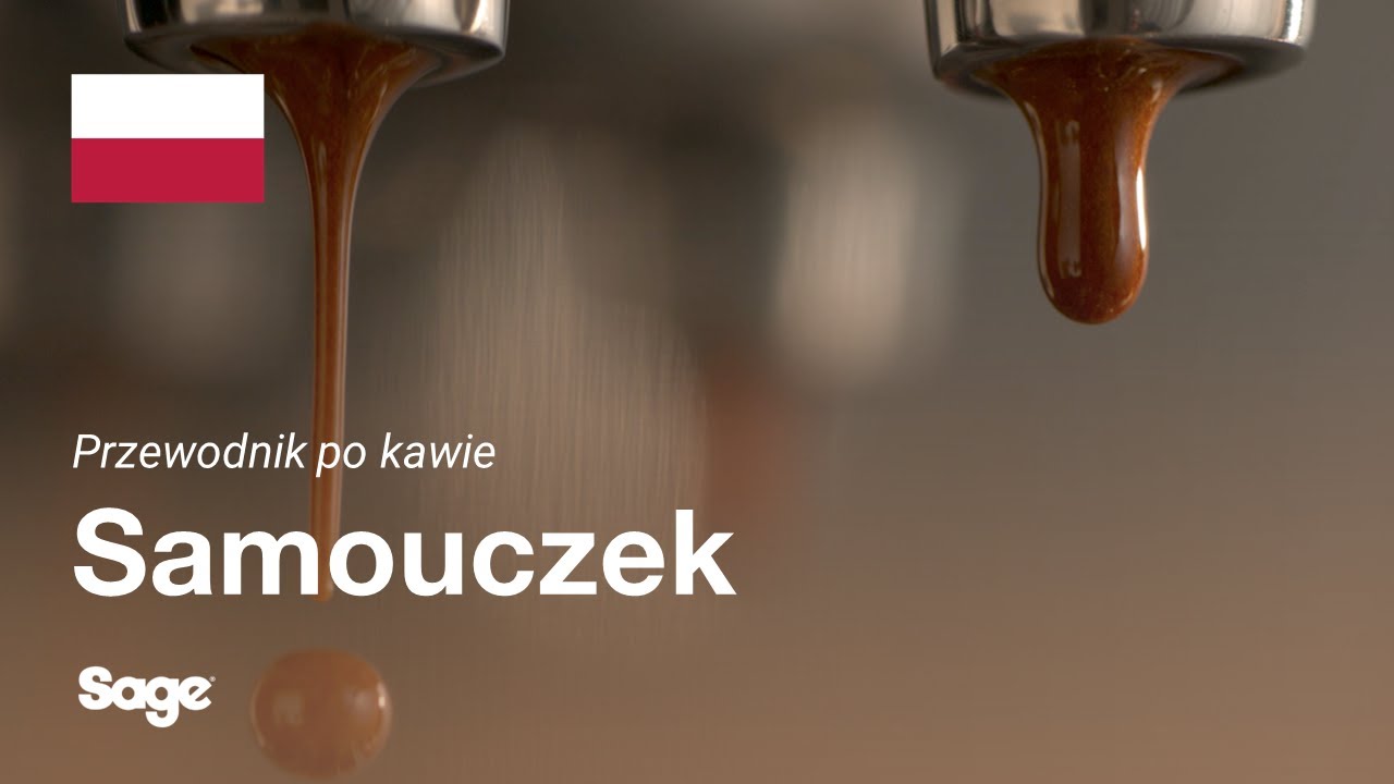 Zrównoważony zaparzony napar