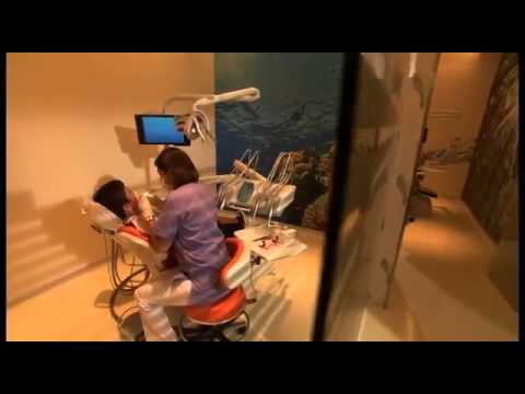 Estethica Hospital  Introduction