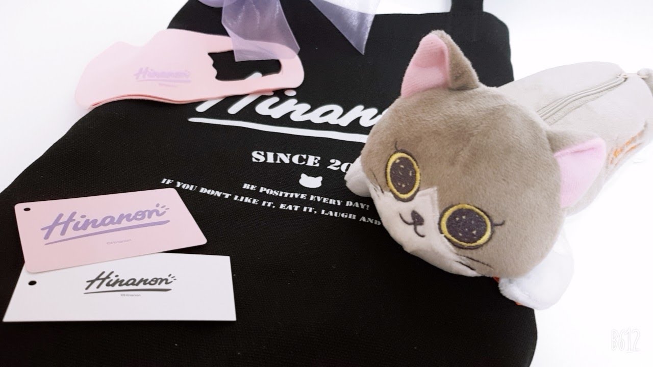 Hinanon 펜케이스&토트백 리뷰 #shorts @hinata6253