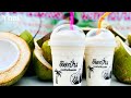 Coconut Fresh Milk Smoothie Coconut Milk Drink Street Drink Thai Street Food