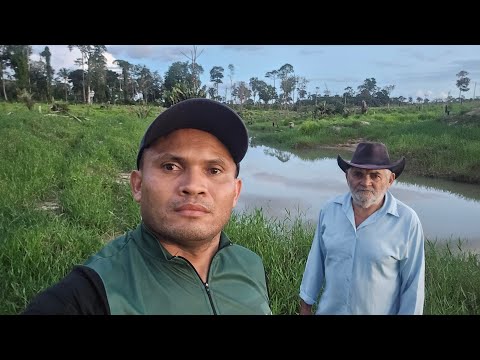 Quanto vale o hectare formado em Rorainopolis, fiquei por dentro 