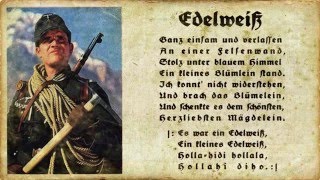 Es war ein Edelweiß.....