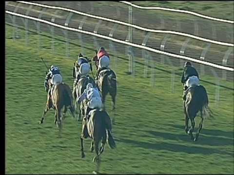 Galoppo 07/02/2017 - 2ª corsa