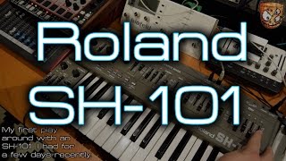 Playing with the - Roland SH 101