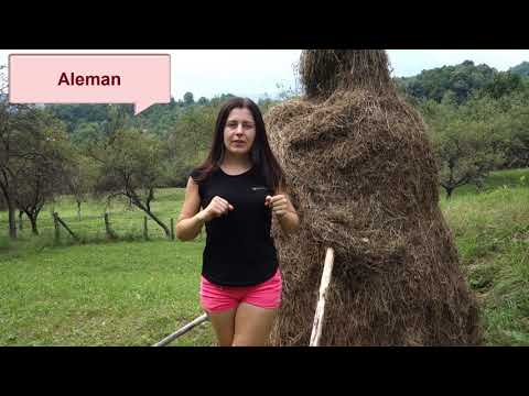 Speaking 4 languages with Romanian accent