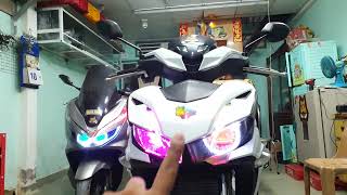 Báo Xi Nhan Chíp Chíp Thay Thế Tington Tại T23Shop.com Cần Thơ