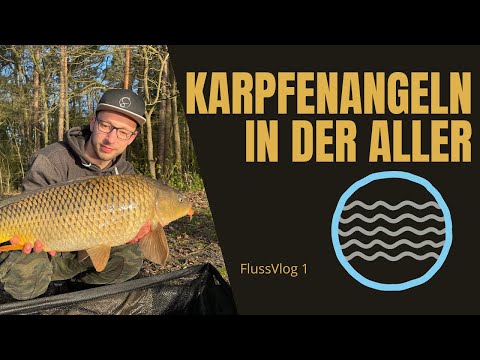 Fluss-Vlog 1 - Karpfenangeln an der Aller | Karpfenangeln
