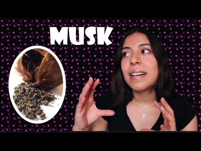 Vídeo relacionado con KUNDAL humedad loción corporal 500ml (almizcle blanco)