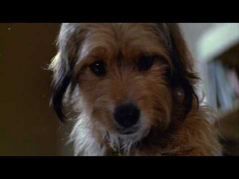 Oh Heavenly Dog (1980) Official Trailer