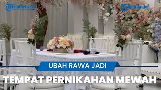 Pengantin ini Ubah Rawa Jadi Tempat Pernikahan Mewah, Akui Habiskan Biaya hingga Rp 108 Juta