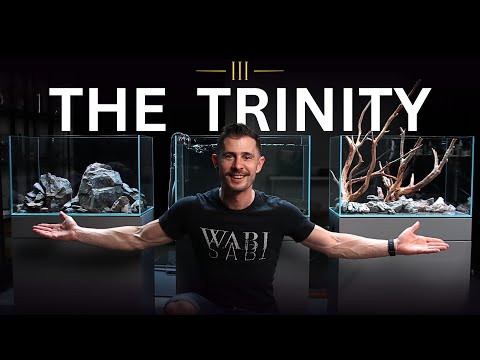 Jurij aranżuje 3 akwaria w swoim studio