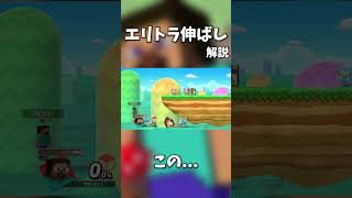 【30秒解説】エリトラ伸ばしという技について【スマブラSP】