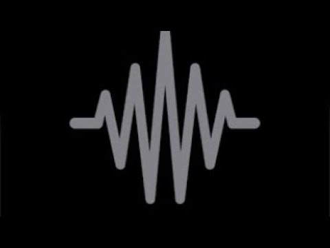 Wassgang on sight exclu mtl