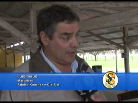 LUIS BIAUS - Adolfo S. Koerner y Cía. S.A. - Azul - 09/10/2013