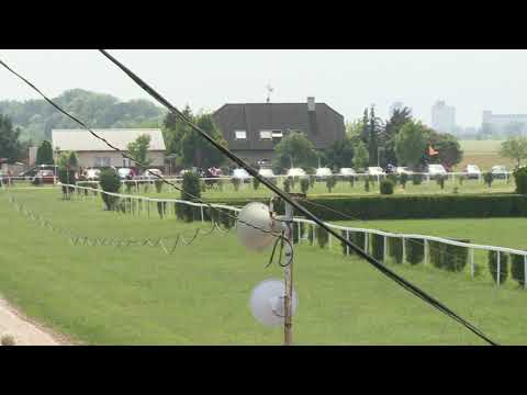 BR, 15. 6. 2019, 2. dostih - CENA VÁCLAV KUBÍK s.r.o.