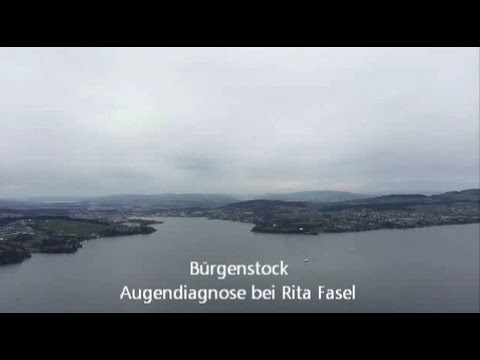 Augenweide mit der Sicht vom Bürgenstock / Praxisort von Rita Fasel