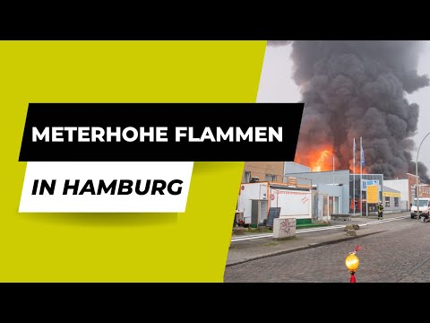 Großbrand in Hamburg: Meterhohe Flammen schlagen aus Lagerhalle