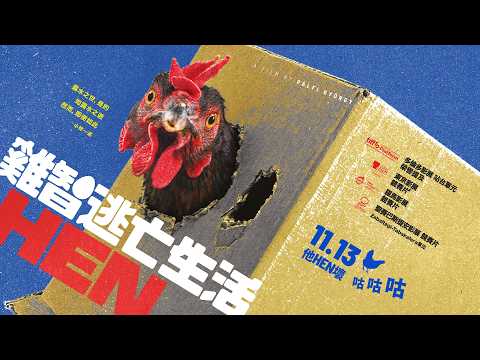 《雞智逃亡生活》影后級母雞真槍實蛋上陣  11/13危雞就是轉雞