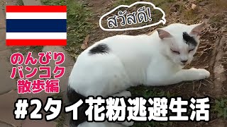 タイ花粉逃避生活#2 のんびりバンコク散歩編