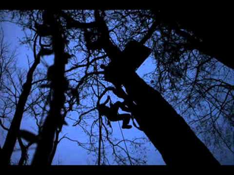 OCCULTUS...Lagrimas Negras