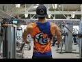 LET'S GET SAIYAN SHREDDED IN THE NEW YEAR!