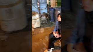 Download lagu cerita mentahan halu sama cewe cerita halu #story #storyhalu mp3