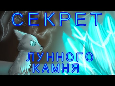 СЕКРЕТ ЛУННОГО КАМНЯ || РАЗБОР КОТЫ ВОИТЕЛИ ¦| Анфо || кв||