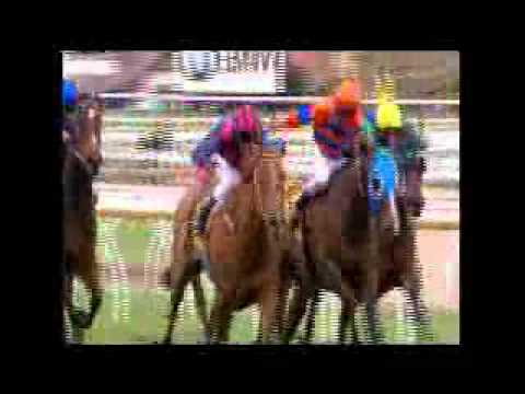 Steve Moran Emirates Stakes