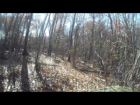 Fox4  paintball in Upton,Ma 11/2