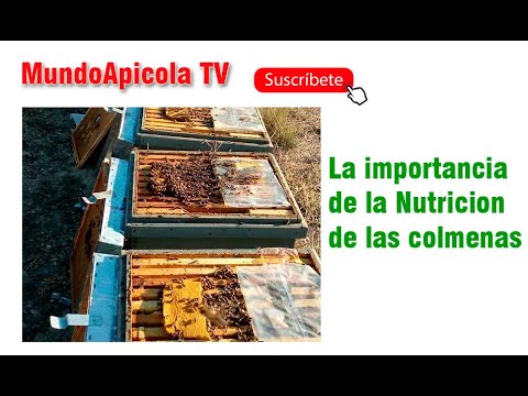 , title : 'El Equilibrio de las colmenas basado en la Nutricion y la alimentacion'