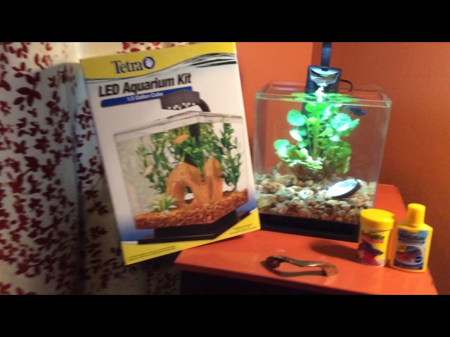 Tetra 1.5 Gallon Planted Tank LED Aquarium Cube Betta Fish River Rocks $28 Total